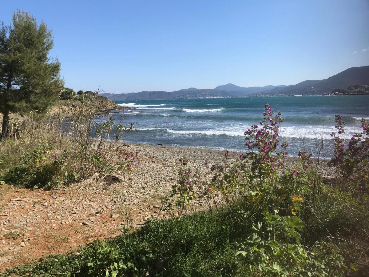 A Chic Four-Person Apartment By The Beach At Cap Ras Llança Εξωτερικό φωτογραφία